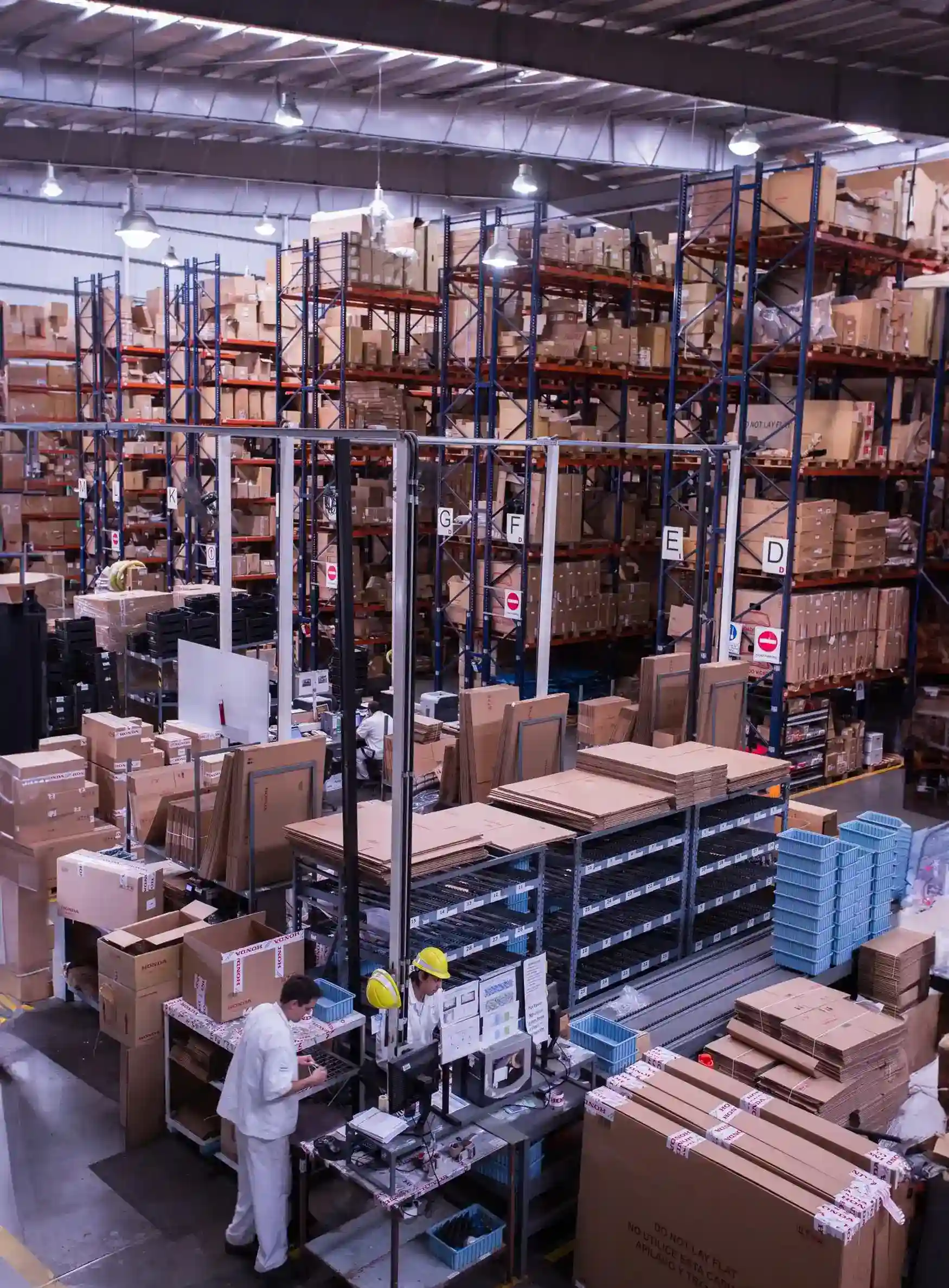 Wholesale & Distribution